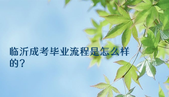 临沂成考毕业流程是怎么样的?