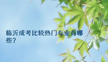 临沂成考比较热门专业有哪些?