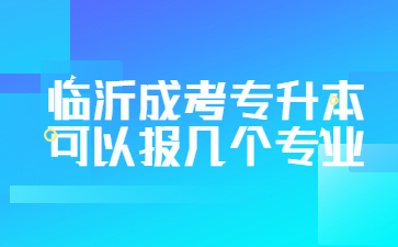 临沂成考专升本可以报几个专业?