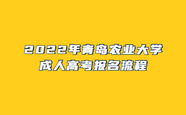 2022年青岛农业大学成人高考报名流程