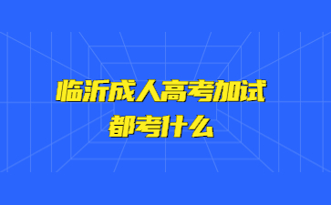 临沂成人高考加试都考什么?