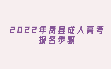 2022年费县成人高考报名步骤