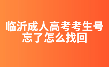 临沂成人高考考生号忘了怎么找回?